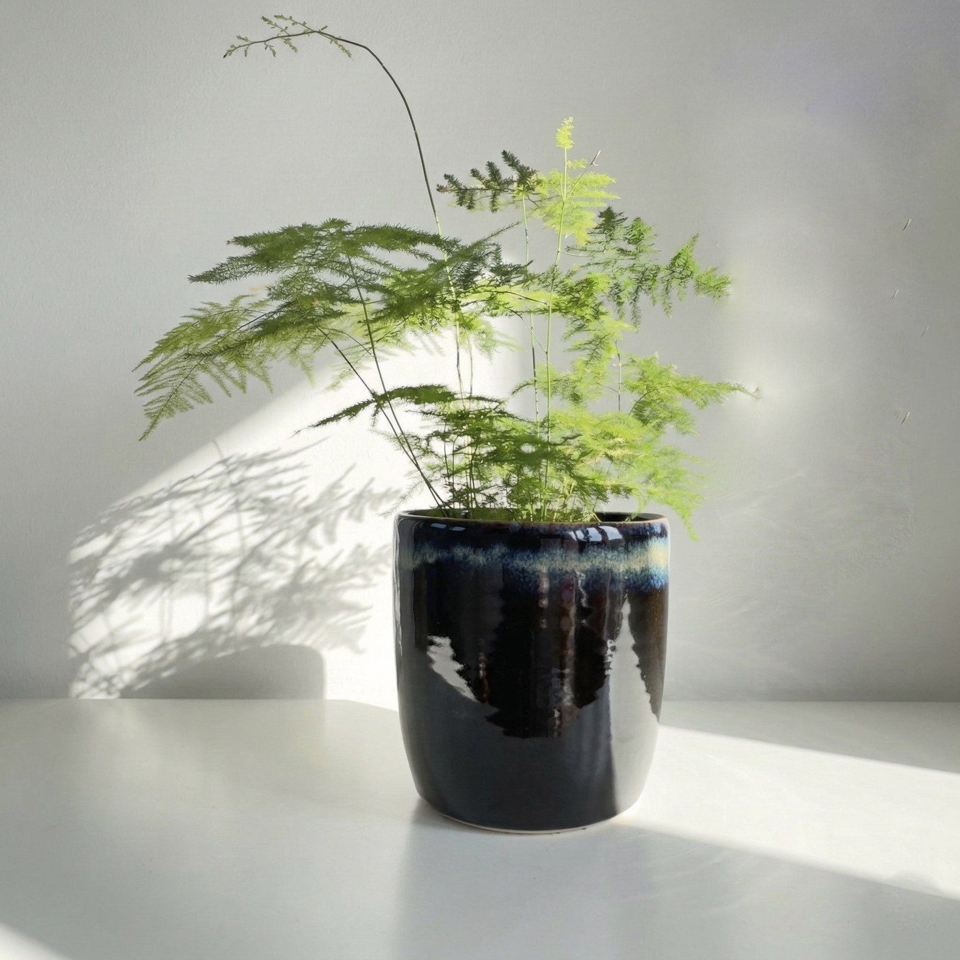 Handmade wheel-thrown stoneware ceramic by Studio Ceramix, London